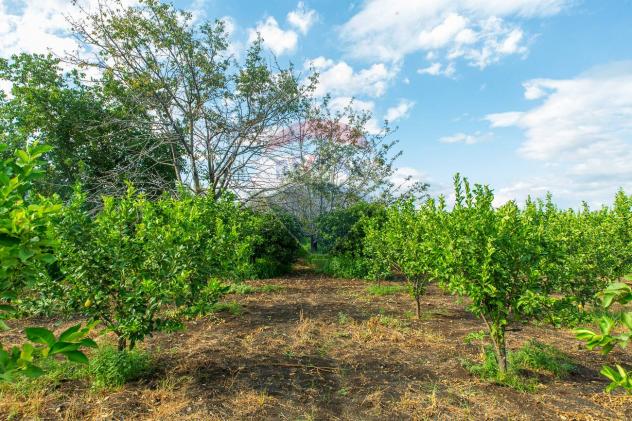 Terreno in vendita a Santa Venerina, Dagala del Re - Foto 17