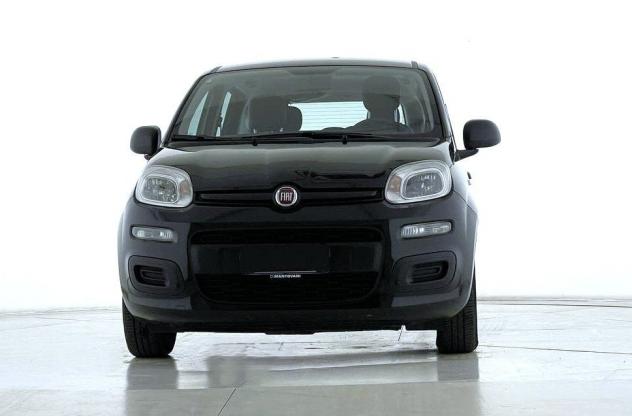 FIAT Panda Panda 1.0 FireFly S&S Hybrid - Foto 2