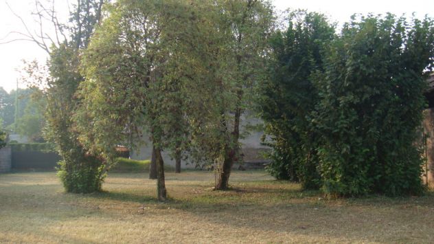 VILLA SINGOLA INIZIO 1900 CON GRANDE GIARDINO - 04 - Foto 6