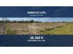 Immobile in asta di 12410 m² in vendita a Annicco
