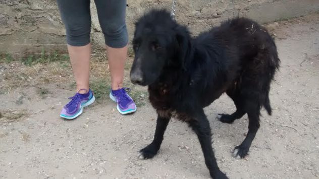 GHOST, gli occhi del cuore - Foto 2