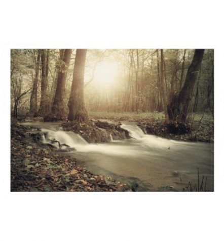 Fotomurale Adesivo Nella Foresta Pluviale Arredalacasa - Foto 2