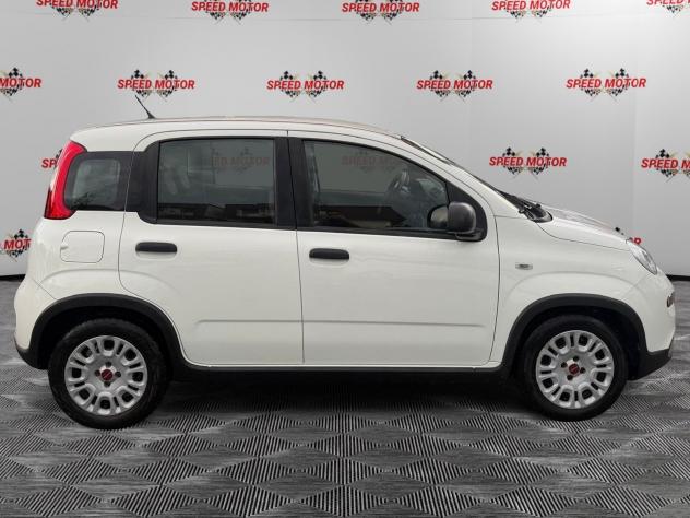 FIAT Panda 1.0 FireFly 70cv Hybrid, 5 POSTI, CARPLAY, PRONTA CONSEGNA! - Foto 2