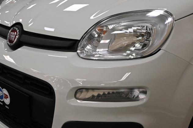 FIAT Panda 3ª serie Panda 1.0 FireFly S&S Hybrid - Foto 2