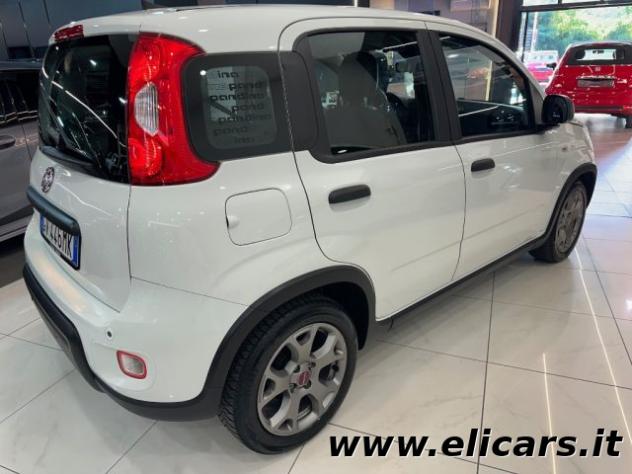 FIAT Panda 1.0 FireFly S&S Hybrid Pandina rif. 23953178 - Foto 6