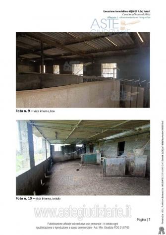 IMMOBILI-ALTRA CATEGORIA-Località Murru Cogone - Foto 7