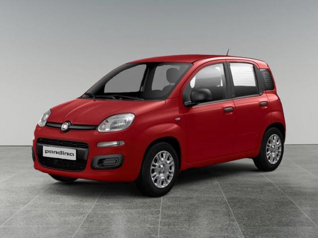 FIAT Pandina Pandina 1.0 firefly hybrid Icon s&s 65cv 5p.ti