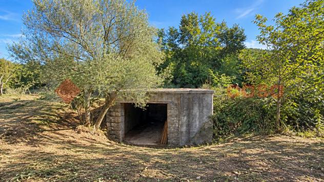 Terreno Agricolo - Torre Cajetani . Rif.: Cod. rif 3341716VCG - Foto 6