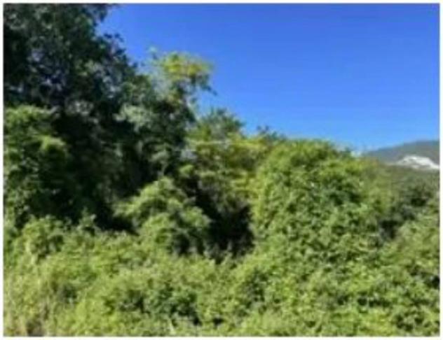 Immobile in asta di 10407 m² con più di 5 locali in vendita a Fossombrone - Foto 8