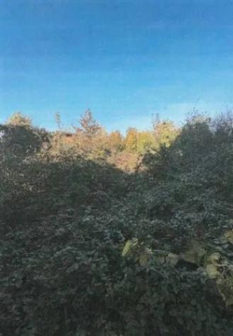 Immobile in asta di 1360 m² in vendita a Legnano - Foto 2