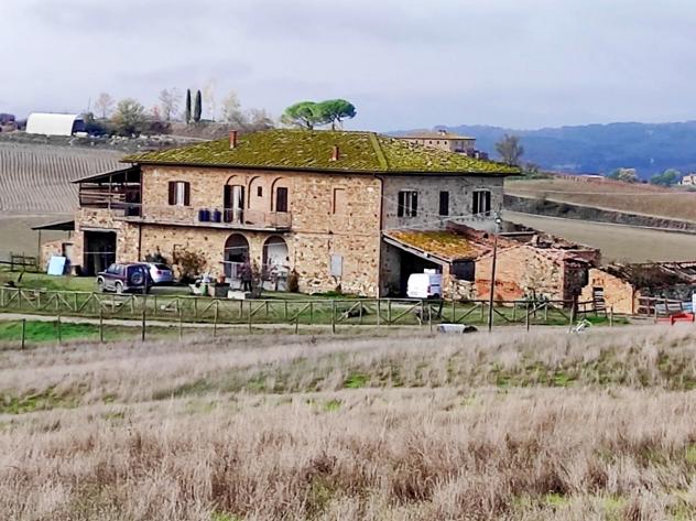 CASALE di 10 vani e di 550 mq (MONTALCINO) rif. AAI014 - Foto 6