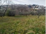 Pescara Terreno Agricolo con 2 Fabbricati