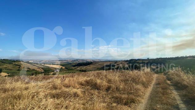 Terreno Agricolo - Roseto degli Abruzzi . Rif.: Cod. rif A132VRG - Foto 7