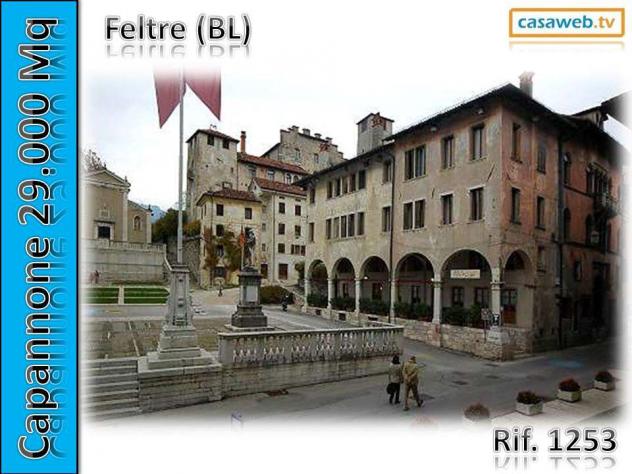 1253 - Capannone a Borgo Valbelluna - Foto 11