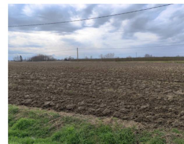 Immobile in asta di 26 m² in vendita a Canaro - Foto 5