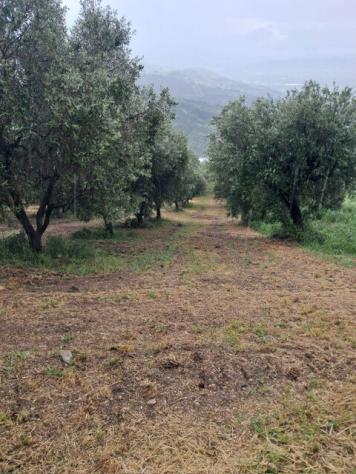 Terreno edificabile in vendita a Colonnella - Foto 12