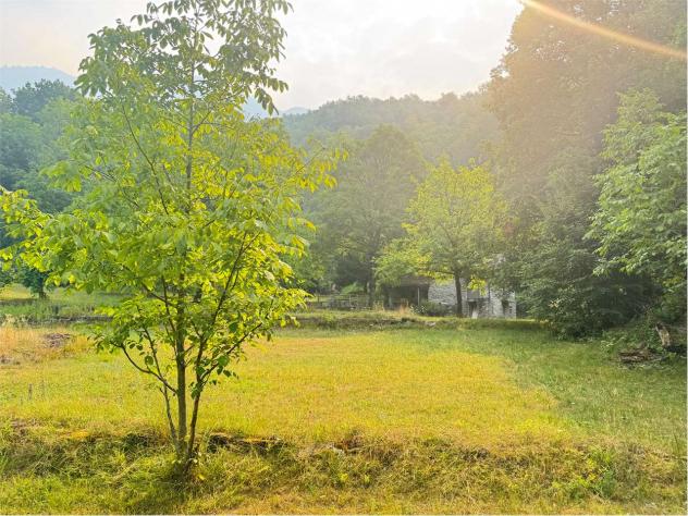 V000587 - BAITA IMMERSA NEL VERDE CON AMPIO TERRENO - Foto 2
