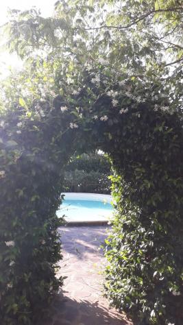 Casa semindipendente in vendita a Villa Campanile - Castelfranco di Sotto 160 mq Rif: 971283 - Foto 6