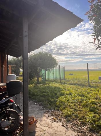 Villetta a schiera in affitto a Coltano - Pisa 80 mq Rif: 1361592 - Foto 2