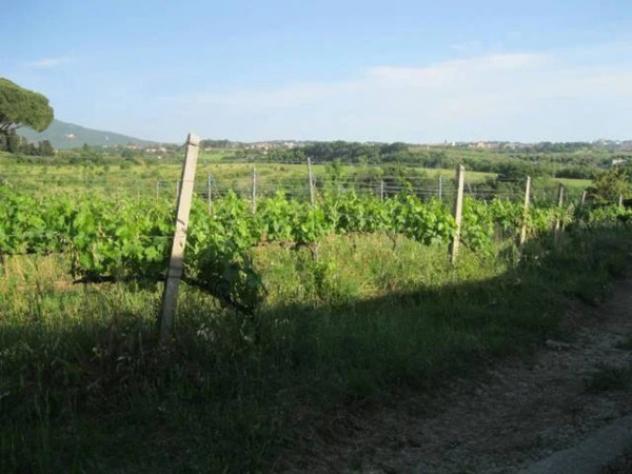 Immobile in asta di 151463 m² in vendita a Grottaferrata - Foto 3