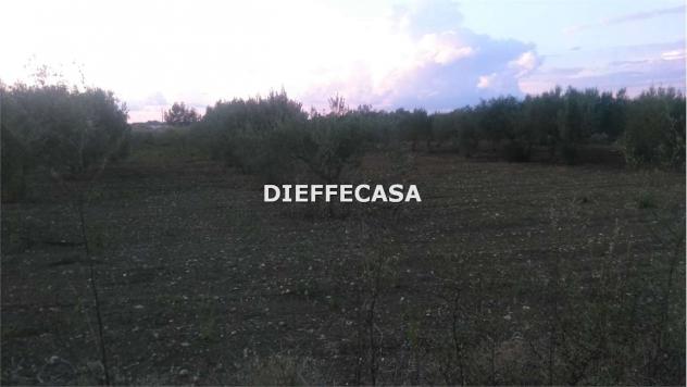 V1510 - In vendita a Marsala terreno agricolo periferia - Foto 3