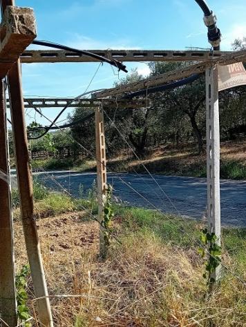 Agricolo in vendita a Tollo - Foto 4