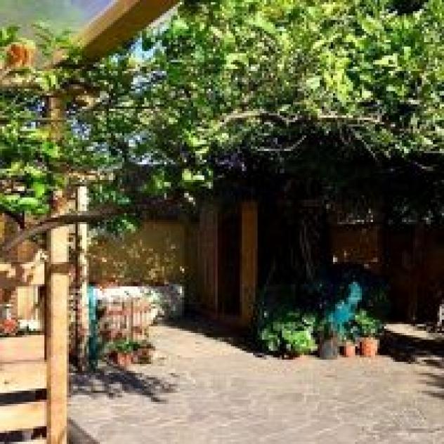 B&B Domus Vesuvia