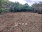 Terreno edificabile in Vendita in zona Crenna a Gallarate