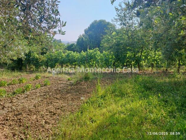 Occasione unica per amanti della natura e della campagna! - Foto 12