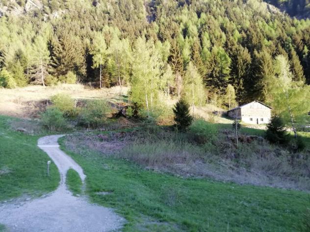 IMMERSO NEL VERDE - Foto 3