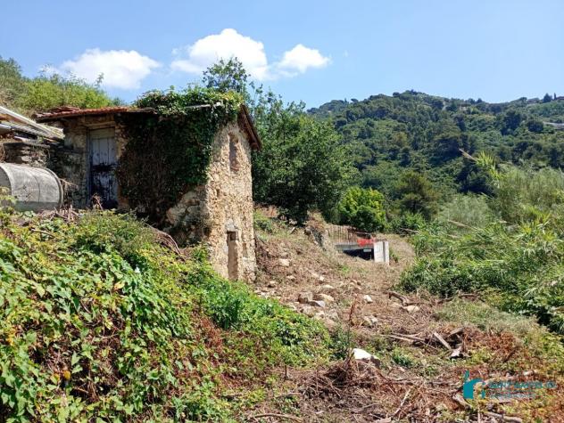 Vallebona VENDESI RUSTICO CON GIARDINO PRIVATO - Foto 7