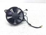 HONDA @ CHIOCCIOLA 150 ELETTROVENTOLA RADIATORE 2000 2002 ZDCKF03B01F