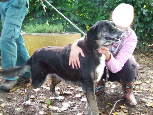 NINFA, bella e socievole - Foto 5