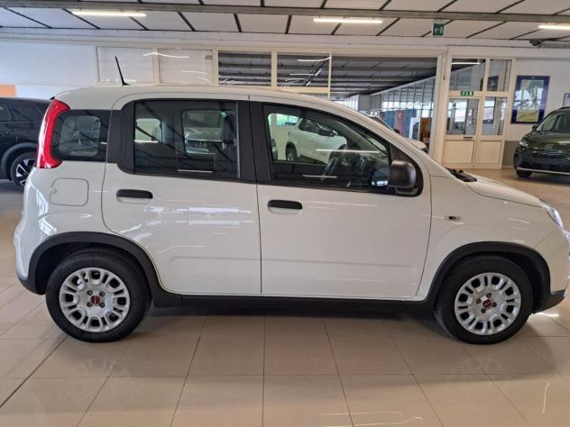 FIAT Panda III 2021 1.0 firefly hybrid s&s 70cv - Foto 8