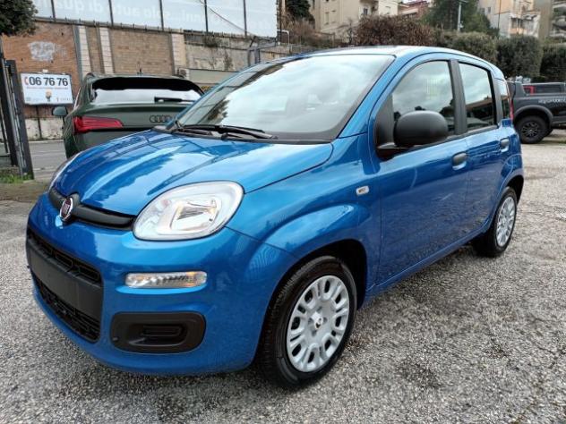 FIAT Panda 1000 HYBRID PANDINA POP 65CV ITALIA rif. 23999443 - Foto 2