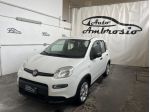 FIAT Panda Panda 1.0 firefly hybrid s&s 70cv TUA DA 122,00 AL MESE