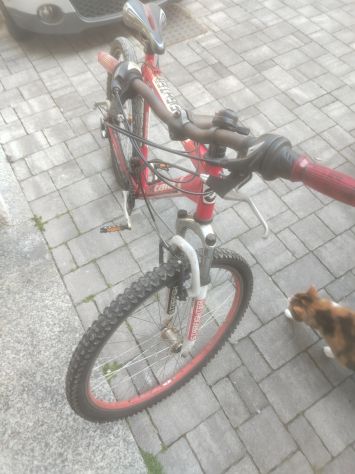Mountain bike Atala - Foto 3