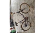 Bicicletta "cinzia elitte' oggetto dacolezionismo ormai