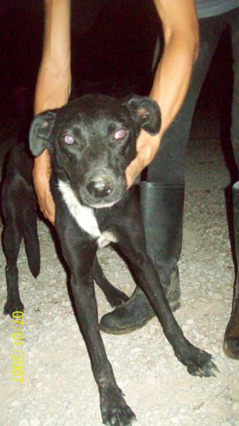FRIDA, tenera e coccolona - Foto 4
