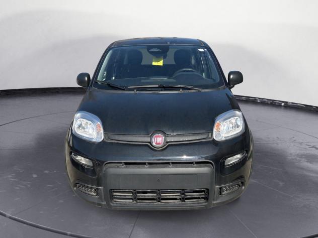FIAT Panda 1.0 firefly hybrid s&s 70cv - Foto 4