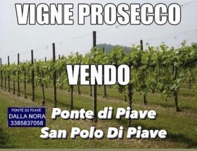 CANTINA CON 10 HA VIGNETI DI PROSECCO - Foto 4