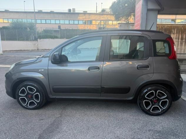 Fiat Panda 1.0 FireFly S&S Hybrid - Foto 5