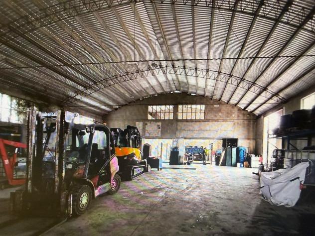 Capannone industriale in affitto a Luni 500 mq Rif: 1375653