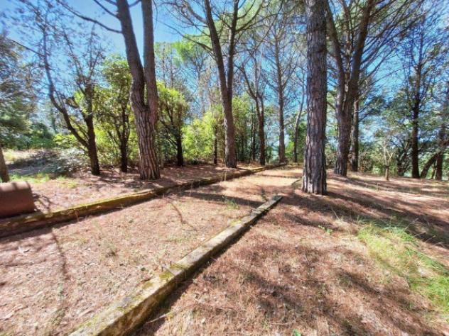 Immobile in asta di 583 m² con più di 5 locali in vendita a Monte Castello di Vibio - Foto 9