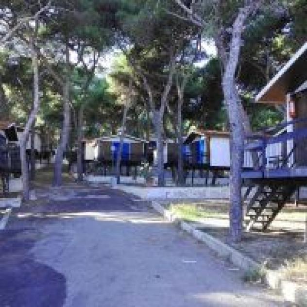 Girasole S.r.l. - Foto 3