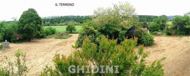 AZIENDA AGRICOLA di 10 vani e di 350 mq (CIVITELLA PAGANICO - PAGANICO) rif. 2571.300M. - Foto 9