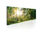 Quadro Bosco Verde ARREDALACASA