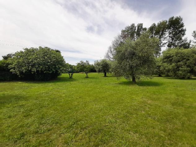 Terreno Agricolo - San Felice del Benaco . Rif.: 005 TA Portese