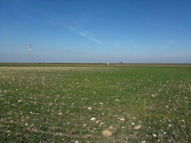 Immobile in asta di 2100 m² in vendita a Venosa - Foto 5