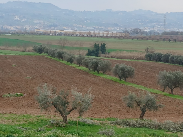 Casale panoramico vista mare con 4.000 mq di terreno